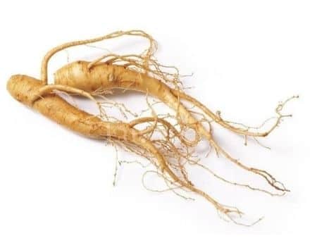 Ginseng - Herbs for potency and libido