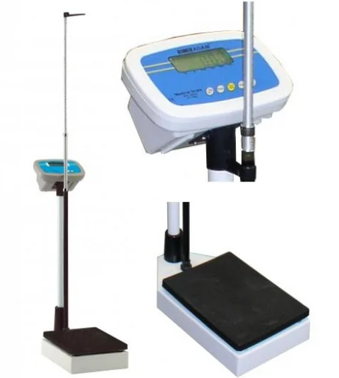 Composition of Body Fat Scales
