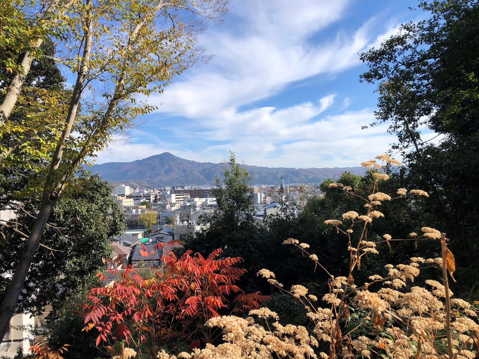 船岡山公園 