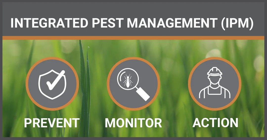 Integrated Pest Management (IPM) Approach