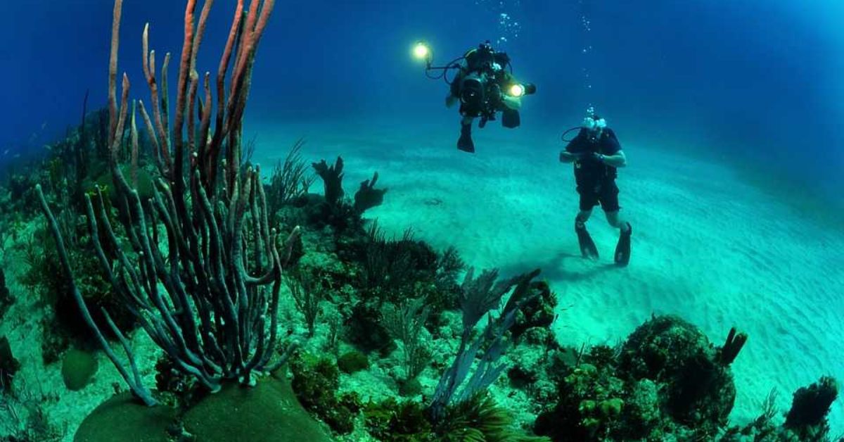 Banana Reef
