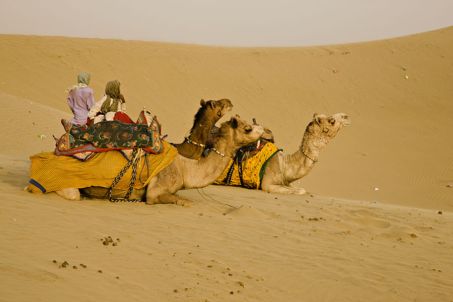 travel books on jaisalmer