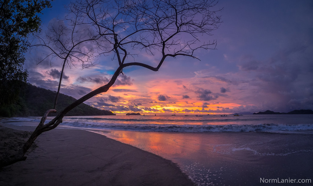 Trees near the beach and its sunset time clouds transform into beautiful colors