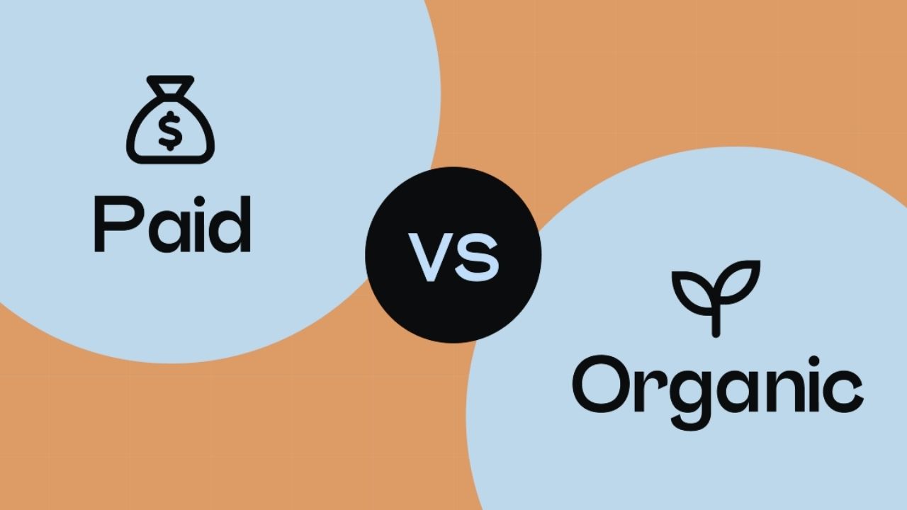 💸 Free vs Paid Distribution