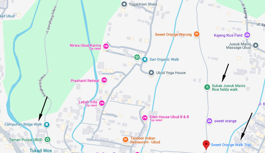 alternatives to campuhan ridge walk - things to do in ubud