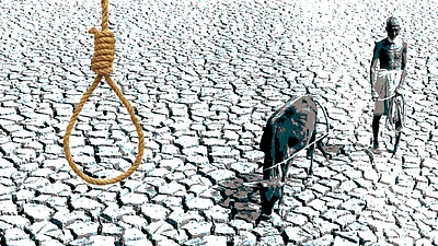 Farmer Suicides