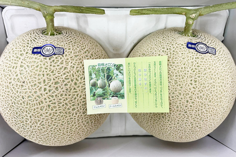 高知縣的哈密瓜，網紋精美