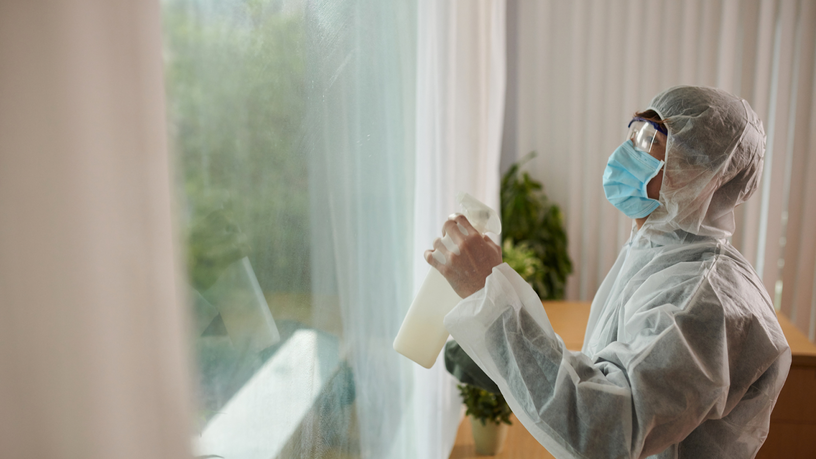 Professional Termite Treatment