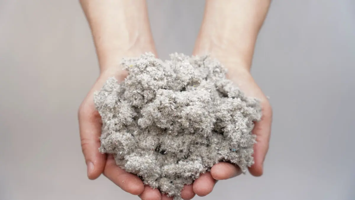 Cellulose, được chiết xuất từ gỗ, bông Cellulose, được chiết xuất từ gỗ, bông