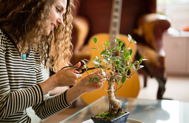 Women pruning a bonsai tree