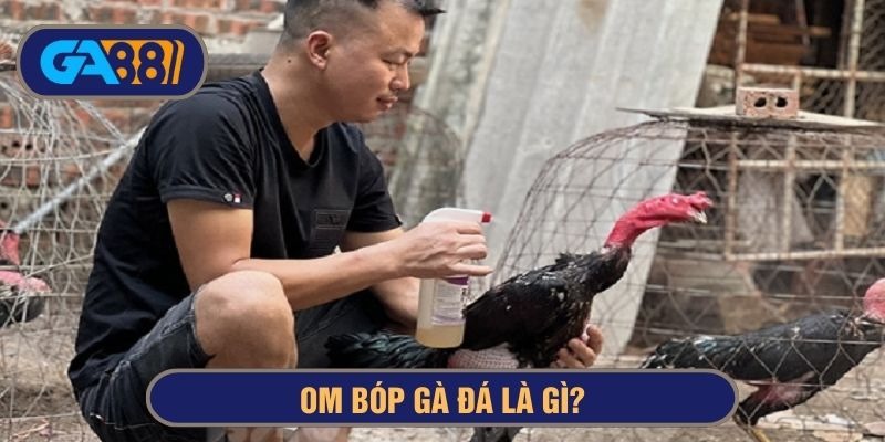 Om bóp cho gà đá là kỹ thuật giúp sở hữu sức khoẻ dẻo dai