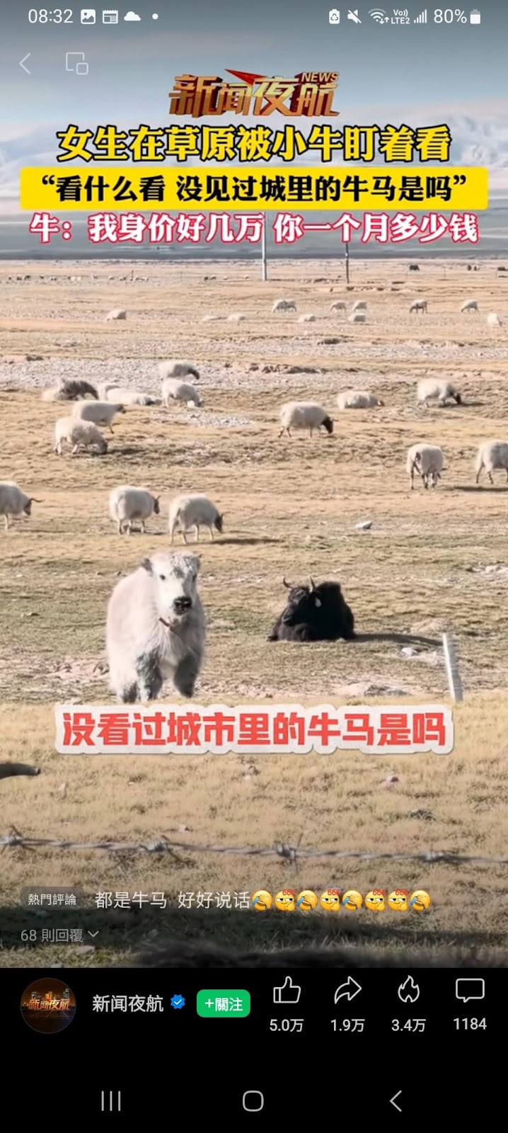 一張含有 文字, 哺乳動物, 螢幕擷取畫面, 戶外的圖片自動產生的描述