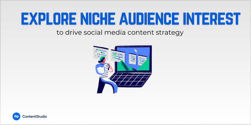 explore niche audience interest 