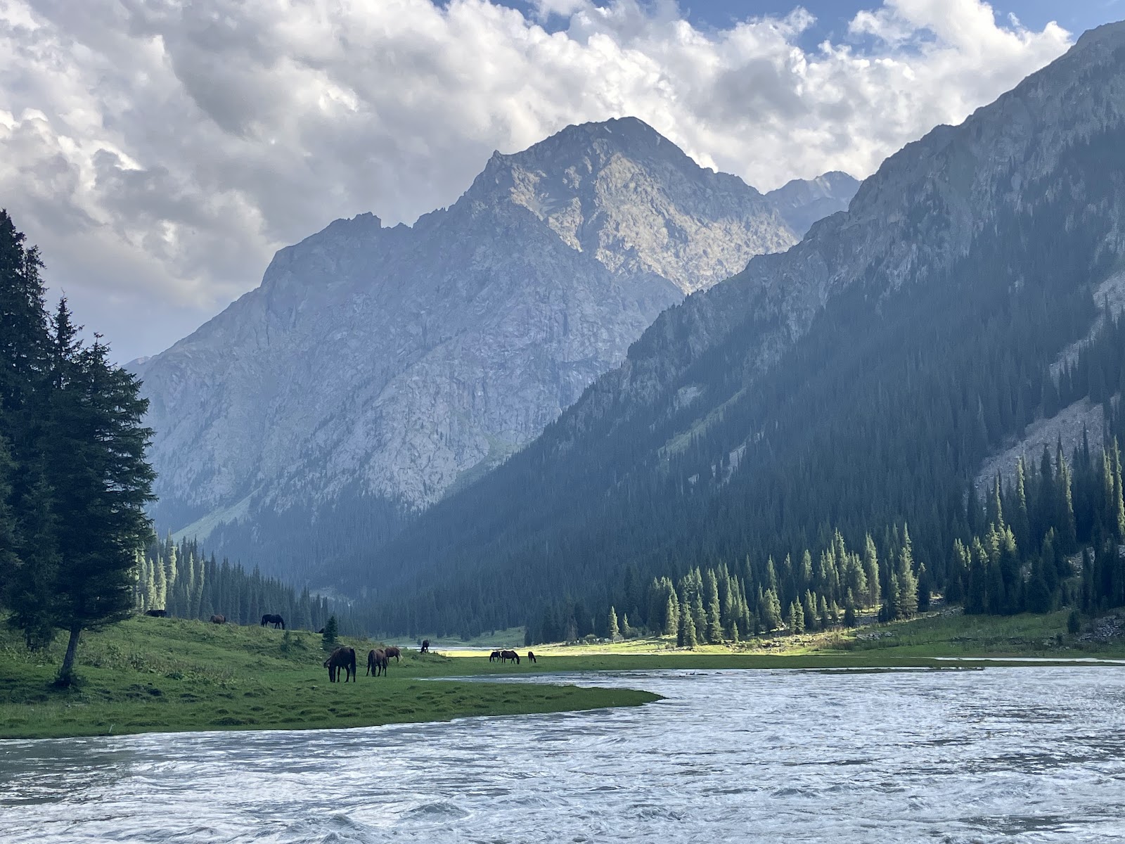 Kyrgyzstan Valley | Panoramic View of Mountains and Wild Horses 