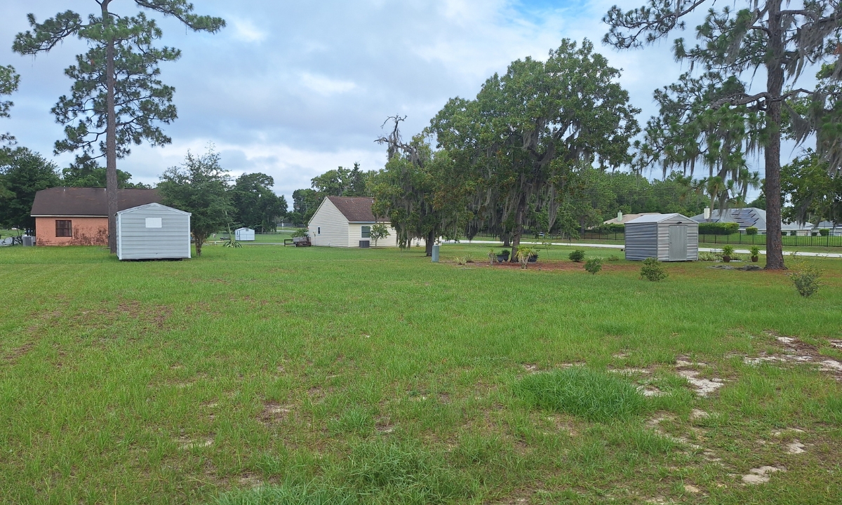 Organic Pest Control: Safe and Effective Solutions
