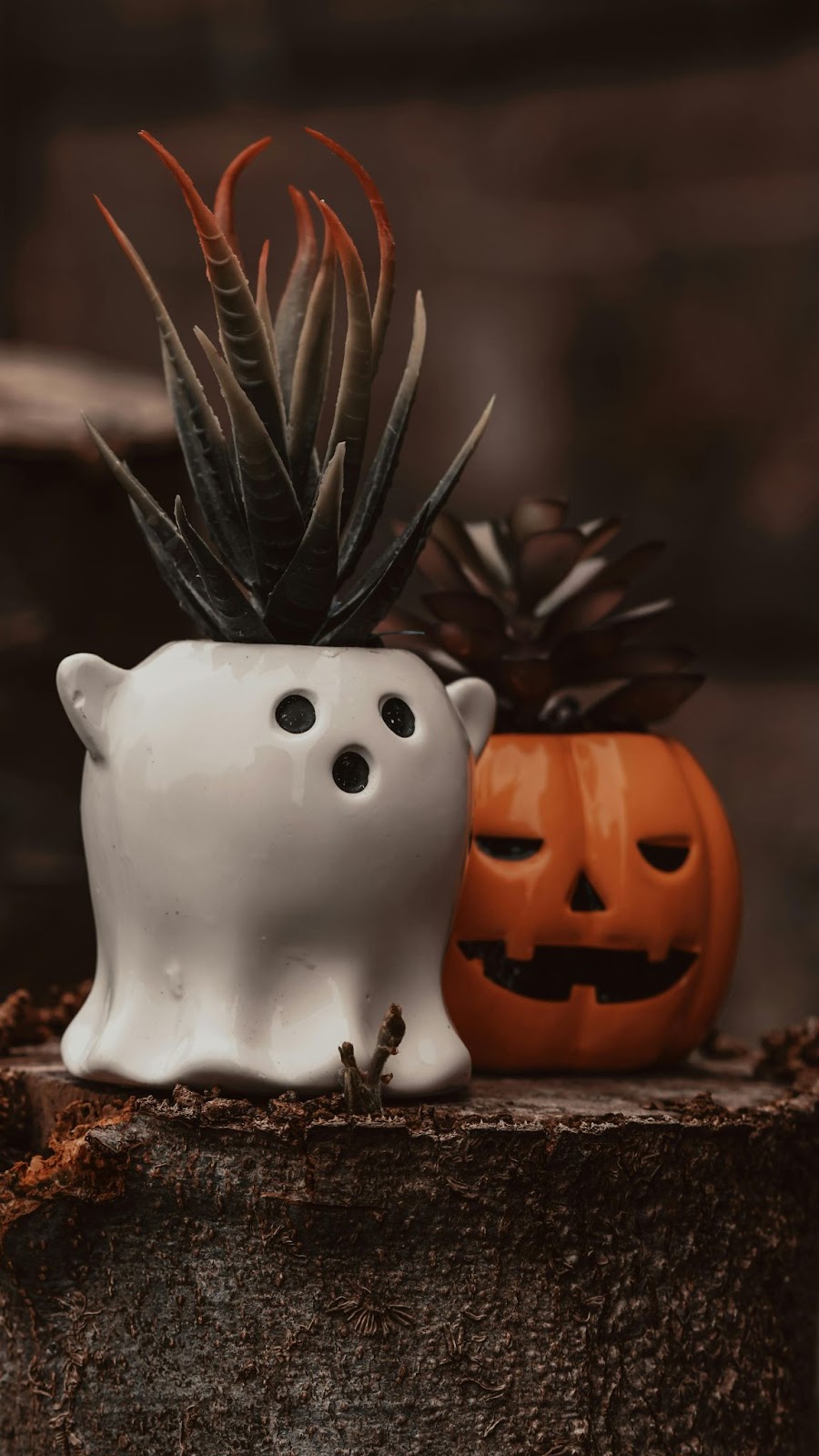 A small white ghost plant pot with a succulent in it next to a small orange plant pot shaped like a jack-o-lantern that has a second succulent in it