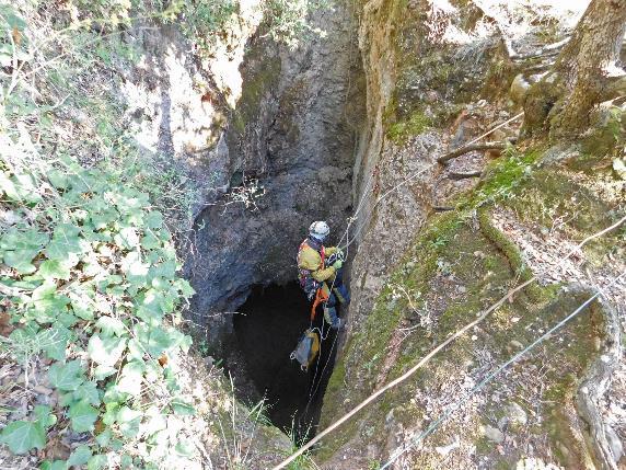 Una roca en el bosque

Descripción generada automáticamente con confianza baja