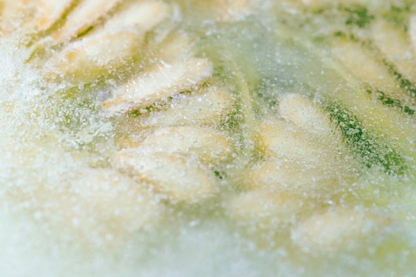 Food Traditionally Frozen