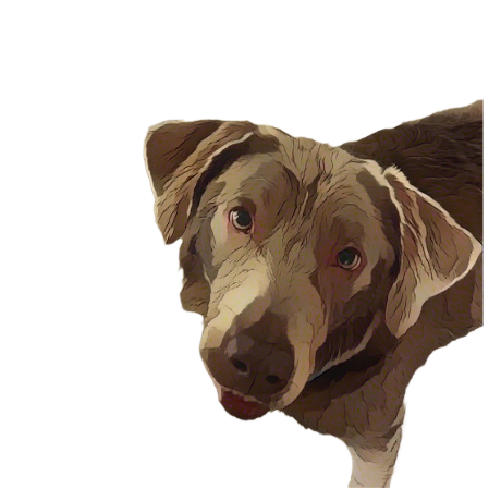 A dog looking up at the camera

AI-generated content may be incorrect.
