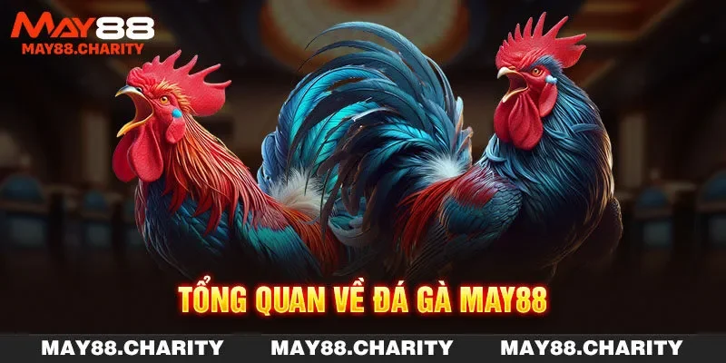 MAY88 - Hình 1