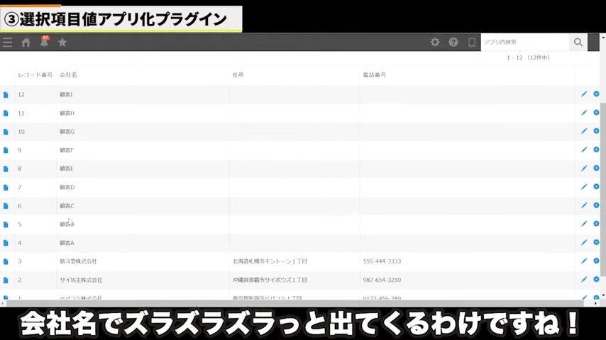 選択項目アプリ化プラグインフィールド