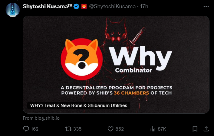 Shiba Inu's Why Combinator Seeks Purpose in the Decentralized Tech Frontier
