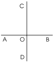 BÀI 21: HAI ĐƯỜNG THẲNG VUÔNG GÓC. VẼ HAI ĐƯỜNG THẲNG VUÔNG GÓC