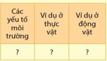 BÀI 34. CÁC YẾU TỐ ẢNH HƯỞNG ĐẾN SINH SẢN VÀ ĐIỀU KHIỂN SINH SẢN Ở SINH VẬTMỞ ĐẦUCâu hỏi: Quá trình thụ phấn và hình thành quả ở cây bầu, cây bí có thể chịu ảnh hưởng của những yếu tố nào?Đáp án chuẩn:Nhiệt độ, độ ẩm, ánh sáng,...I. CÁC YẾU TỐ ẢNH HƯỞNG ĐẾN SINH SẢN Ở SINH VẬTCâu 1: Kể tên một số yếu tố ảnh hưởng đến sinh sản ở sinh vậtĐáp án chuẩn:Ánh sáng, nhiệt độ, nước, chất dinh dưỡng,...Câu 2: Quan sát hình 34.1, nêu ảnh hưởng của nhiệt độ đến sinh sản ở mỗi sinh vật trong hìnhĐáp án chuẩn:Cây hoa cúc: ảnh hưởng đến sự ra hoa.Rùa ấp trứng: ảnh hưởng đến giới tính của rùa.Cá chép: ảnh hưởng đến sự sinh sản của cá.Rau cải: ảnh hưởng đến sự ra hoa.Vận dụng 1Câu hỏi: Một số cây chỉ ra hoa, tạo quả vào mùa hè (ví dụ: hoa dâm bụt, hoa chùm ớt) hoặc mùa đông (ví dụ: hoa cúc hoạ mi, hoa thược dược). Theo em, sự ra hoa, tạo quả của cây đó chịu ảnh hưởng rõ rệt của yếu tố môi trường nào?Đáp án chuẩn:Chịu ảnh hưởng của nhiệt độ, ánh sáng và nước.Câu 3: Nêu ảnh hưởng của ánh sáng đến sinh sản ở sinh vật. Lấy ví dụ Đáp án chuẩn:Cường độ, thời gian chiếu sáng trong ngày ảnh hưởng đến sự sinh sản ở sinh vật. Ví dụ: điều kiện ánh sáng mạnh (thanh long, nhãn,..), điều kiện ánh sáng yếu (hoa cúc, hoa đào,…).Câu 4: Từ bảng 34.4, nhận xét ảnh hưởng của độ ẩm đến sinh sản ở sâu non ăn lá lúa.Đáp án chuẩn:Ở 25oC, nếu độ ẩm cao (90%) thì tỉ lệ đẻ trứng là 100%. Và độ ẩm càng xuống thấp thì tỷ lệ đẻ trứng giảm.Câu 5: Lấy ví dụ về ảnh hưởng của nước đến sinh sản ở thực vậtĐáp án chuẩn:Thiếu nước làm cho cây ra ít nụ, ít hoa hoặc không ra hoa như măng cụt, cà chua. Có loại lại ra hoa nhiều trong điều kiện khô cằn như hoa giấy.Vận dụng 2Câu hỏi: Lấy ví dụ chứng minh cho việc bón đúng loại phân, đúng lượng làm cho cây ra hoa, đậu quả nhiều.Đáp án chuẩn:Khi cây bị thiếu đạm, cây sẽ sinh trưởng kém, còi cọc, lá cây sẽ úa vàng, khả năng quan hợp yếu, khả năng phân cành, đẻ nhánh kém,...Vận dụng 3Câu hỏi: Nêu những điều cần chú ý khi cung cấp chất dinh dưỡng cho vật nuôi đảm bảo hiệu quả sinh sản.Đáp án chuẩn:- Cung cấp đầy đủ thức ăn dễ tiêu, đảm bảo chất lượng và số lượng phù hợp với từng lứa tuổi của vật nuôi. Cho ăn đúng giờ, đúng bữa, đúng lượng.- Không dùng thức ăn kém chất lượng, vệ sinh máng ăn, máng uống.Câu 6: Lấy ví dụ cho thấy đặc điểm của loài ảnh hưởng đến sinh sản sinh vậtĐáp án chuẩn:Cà chua phải có đủ 14 lá mới ra hoa,Câu 7: Nêu vai trò của hocmone ảnh hưởng đến sinh sản ở sinh vậtĐáp án chuẩn:Điều hoà sự ra hoa, đậu quả ở thực vật. Ở động vật hormone sinh dục tác động lên quá trình hình thành tinh trùng, trứng.II. ĐIỀU KHIỂN SINH SẢN Ở SINH VẬTCâu hỏi 1: Lấy ví dụ ở địa phương em:a) Cây ra hoa một lần và cây ra hoa nhiều lần trong năm.b) Động vật đẻ ít con và động vật đẻ nhiều conĐáp án chuẩn:a) Một lần trong năm: cải, lúa, ngô,…Nhiều lần trong năm: xoài, na, ổi,…b) Đẻ ít con: trâu, bò, khỉ,…Đẻ nhiều con: lợn, chuột, chó…Câu 8: Quan sát bảng 34.2, lấy ví dụ về điều khiển sinh sản ở sinh vật bằng điều chỉnh các yếu tố của môi trường theo mẫu bảng sau:Đáp án chuẩn:Các yếu tố môi trườngVí dụ ở thực vậtVí dụ ở động vậtÁnh sáng, nhiệt độThắp đèn vào ban đêm làm cho cây thanh long ra nhiều hoa hoặc ra hoa trái vụ.Thắp đèn kéo dài thời gian chiếu sáng trong ngày làm cho gà có thể đẻ 2 trứng/ngày.Độ ẩm, nướcGiảm lượng nước tưới để đất khô hạn để quýt ra hoa đồng loạt.Sâu ăn lá lúa sẽ đẻ trứng ở nhệt độ 25oC với độ ẩm cao khoảng 90%Chất dinh dưỡngPhun phân bón lá cho cây cam trước nửa tháng.Giun đất sinh sản nhanh hơn ở những nơi đất nhiều dinh dưỡng.Vận dụng 4Câu hỏi: Lấy thêm ví dụ về điều khiển sinh sản ở sinh vật bằng điều chỉnh các yếu tố môi trường có ở địa phương em.Đáp án chuẩn:Thắp đèn để kích thích hoa nở vào mùa đông.Vận dụng 5Câu hỏi: Nêu những khó khăn và thuận lợi trong điều khiển sinh sản của cây trồng bằng điều chỉnh các yếu tố môi trường khi trồng ở ngoài tự nhiên và trong nhà kính.Đáp án chuẩn: Thuận lợiKhó khănCây trồng ngoài tự nhiên- Diện tích đất trồng rộng- Không tốn nhiều chi phí - Chịu ảnh hưởng trực tiếp từ các yếu tố bên ngoài.Cây trồng trong nhà kính- Chủ động trong việc chăm sóc và nuôi trồng.- Không cần sử dụng quá nhiều thuốc trừ sâu.- Nhiệt độ, không khí, độ ẩm được kiểm soát.- Giới hạn diện tích.- Chi phí lắp đặt tốn kém.- Chênh lệch nhiệt độ với môi trường bên ngoài có thể làm cây trồng bị héo, bị chết.Câu 9: Nêu vai trò của hormone nhân tạo trong điều khiển sinh sản ở sinh vậtĐáp án chuẩn:- Ở thực vật: làm cho cây ra rễ nhanh khi giâm cành, chiết cành...- Ở động vật: điều khiển số lượng trứng, số con: kích thích sinh sản ở cá ba sa, ếch...Câu hỏi 2: Nêu một số ví dụ về sử dụng các hormone nhân tạo điều khiển sinh sản ở cây trồng, vật nuôi.Đáp án chuẩn:Làm cho rễ cây ra nhanh khi giâm cành, chiết cành ở cây cam, bưởi, nuôi cấy mô ở phong lan.Vận dụng 6Câu hỏi: Khi sử dụng các chất kích thích điều khiến sinh sản ở sinh vật cần lưu ý điều gì? Vì sao?Đáp án chuẩn:Đảm bảo an toàn thực phẩm và phát triển bền vững vì nếu lạm dụng sẽ gây ra những hậu quả nghiêm trọng đối với sức khỏe con người và gây ô nhiễm môi trường.Vận dụng 7