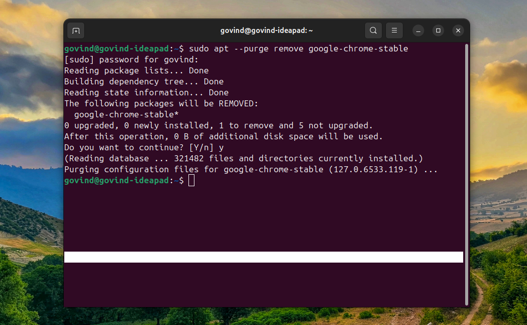 Remove Google chrome Configuration Files