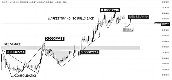 Shiba Inu Showing Bullish Momentum After Resistance Break, Analyst Predicts Further Surge