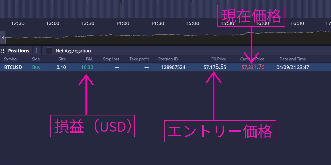 DXTradeの保有建玉の見方