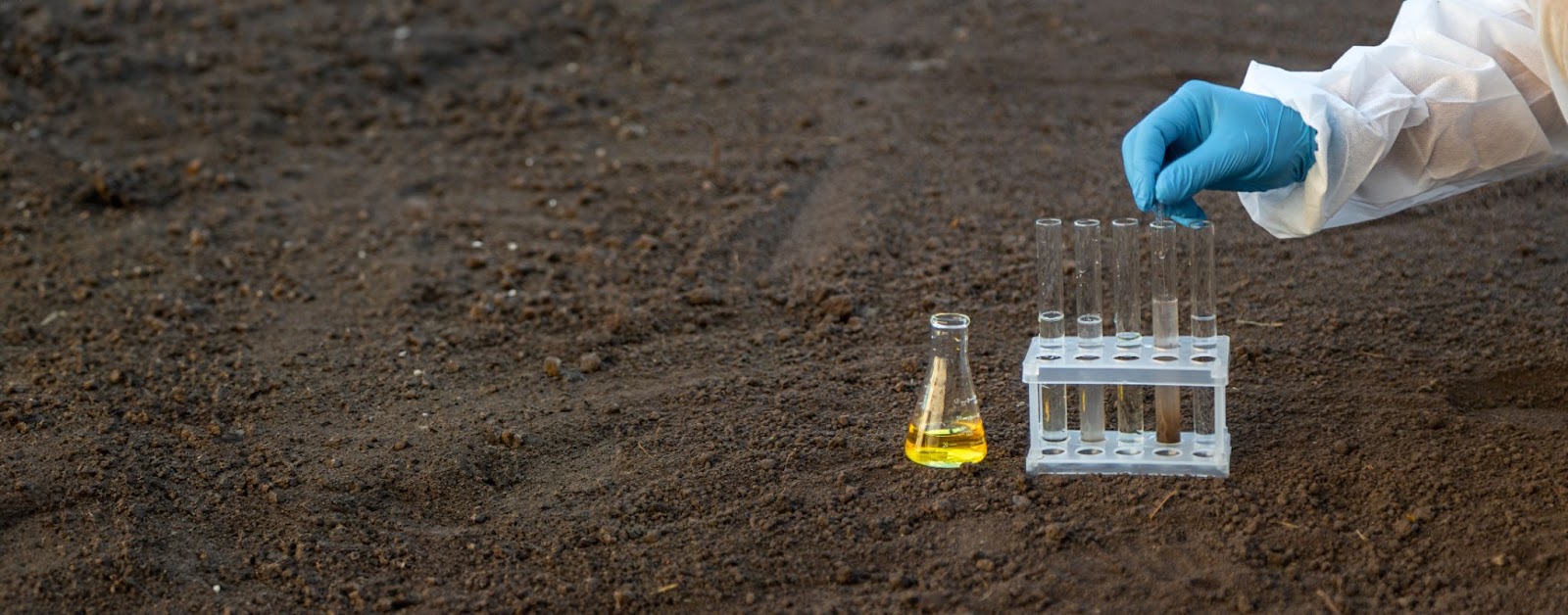 heavy metals determination in soil