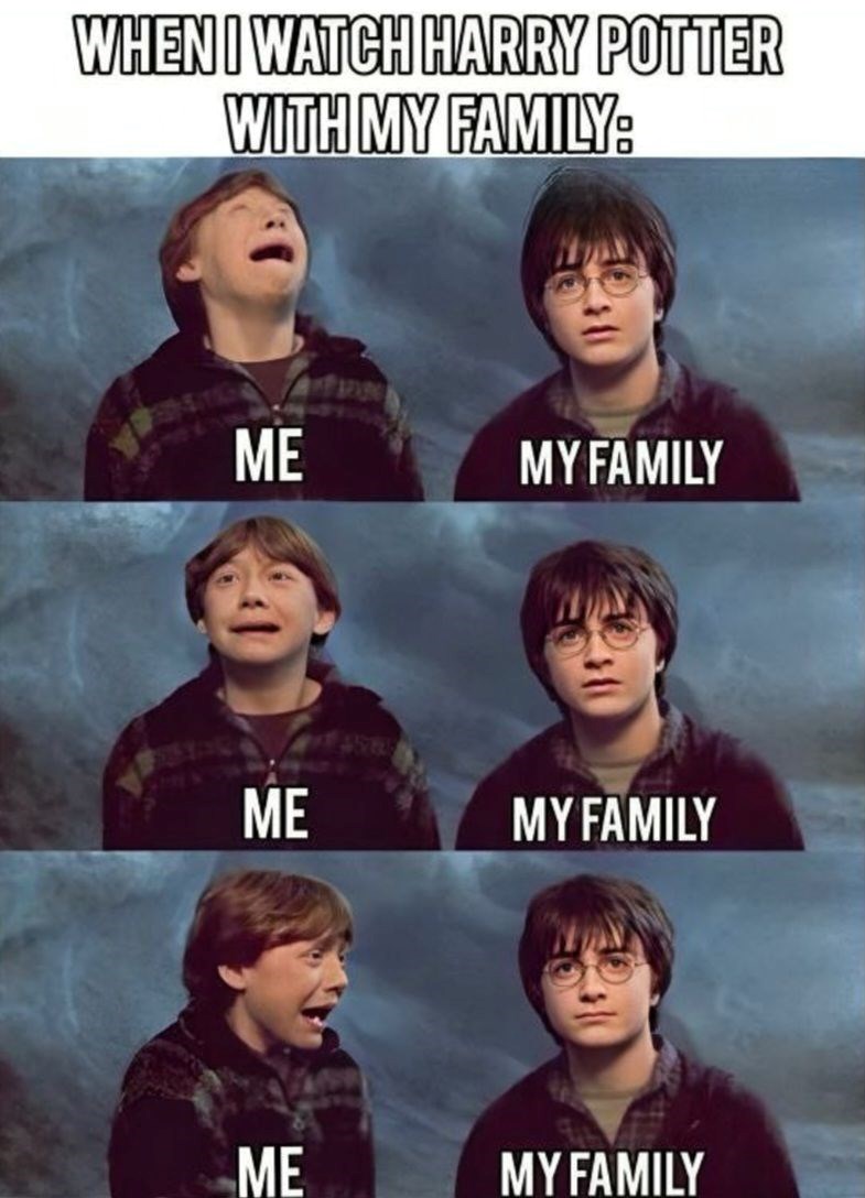 WHEN I WATCH HARRY POTTER WITH MY FAMILY: ME MY FAMILY ME MY FAMILY ME MY FAMILY