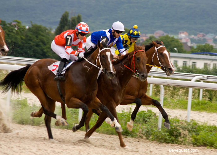 Quarter Horse Racing 