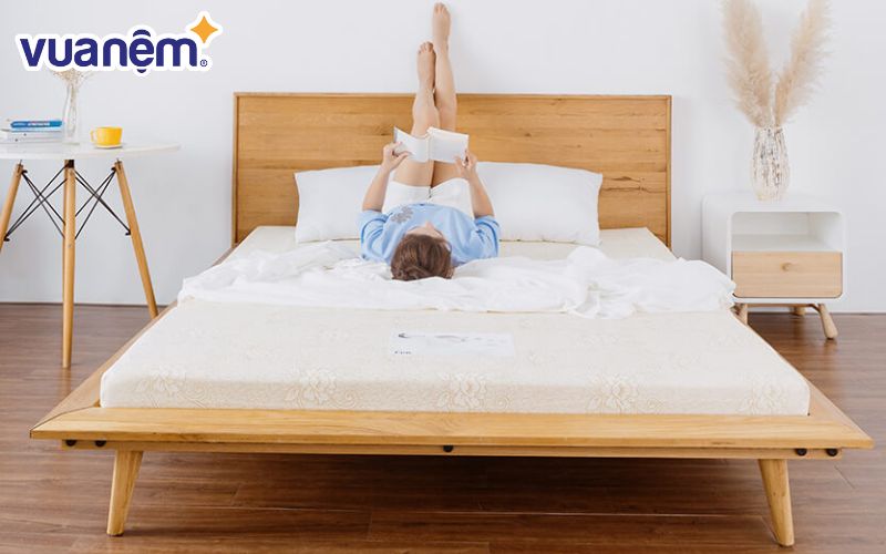 Sản phẩm Nệm Foam Goodnight Eva