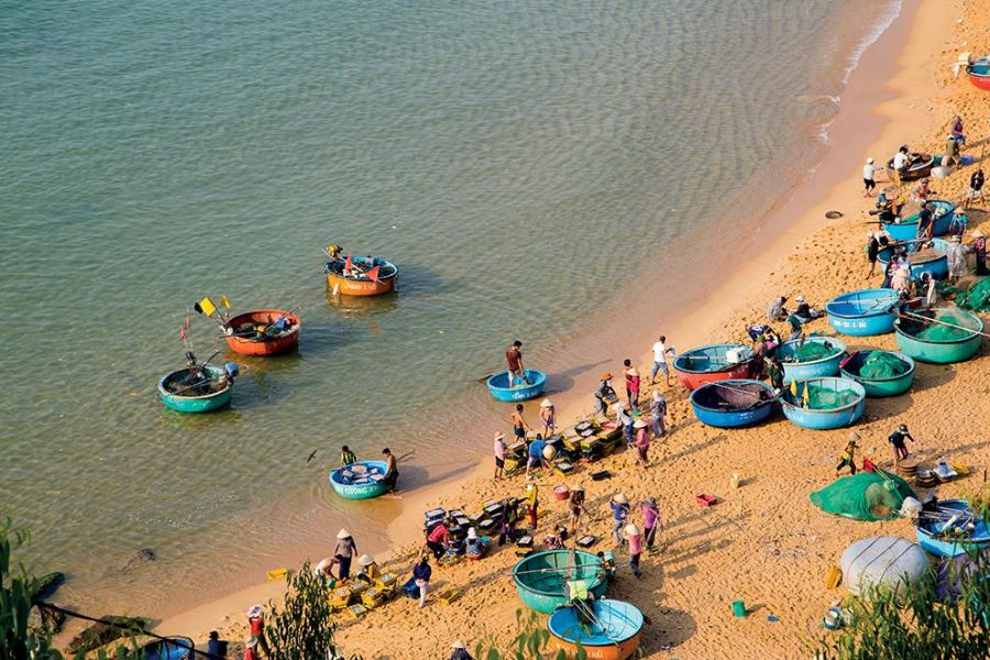 Not only a tourist destination, Nhon Ly also offers many interesting experiences such as fishing, rowing basket boats or enjoying fresh seafood. 