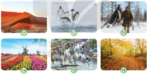 BÀI 27. TRÁI ĐẤT VÀ CÁC ĐỚI KHÍ HẬUMỞ ĐẦUCâu hỏi: Cùng hát một bài hát về Trái Đất. Nêu một số thông tin về Trái Đất được nhắc tới trong lời bài hát.Đáp án chuẩn:- Bài hát Trái đất này là của chúng mình.Trái Đất là quả bóng xanh.Bay lơ lửng giữa trời.KHÁM PHÁCâu 1: Quan sát hình 1 và mô tả hình dạng của Trái Đất.Đáp án chuẩn:Trái Đất có hình cầu.Câu 2: Quan sát hình 2 và chỉ cực Bắc, cực Nam, đường Xích đạo, bán cầu Bắc, bán cầu Nam.Đáp án chuẩn:- Học sinh tự thực hiện.Cực Bắc ở đỉnh phía trênCực Nam ở đỉnh phía dướiBán cầu Nam nằm nửa dướiBán cầu Bắc nằm ở nửa trênĐường xích đạo đường chia nửa hình cầuCâu 3: Quan sát từ hình 3 đến hình 6, chỉ và nói tên các đới khí hậu. Từng đới khí hậu có đặc điểm gì?Đáp án chuẩn:- Đặc điểm:Hình 4: Đới lạnh: lạnh quanh năm, ít có con người sinh sống. Không có thực vật sinh sống, động vật chủ yếu là gấu bắc cực, chim cánh cụt,…Hình 5: Đới ôn hòa: thời tiết thay đổi thất thường. Có 4 mùa: xuân, hạ, thu, đông. Nhiệt độ trung bình.Hình 6: Đới nóng: nóng quanh năm.THỰC HÀNHCâu hỏi: Thực hành với quả địa cầu:- Chỉ cực Bắc, cực Nam, đường Xích đạo, bán cầu Bắc, bán cầu Nam và các đới khí hậu.- Chỉ vị trí của Việt Nam và cho biết nước ta nằm ở đới khí hậu nào. Đáp án chuẩn:- Học sinh thực hành với quả địa cầu.- Học sinh chỉ vị trí của Việt Nam trên quả địa cầu- Việt Nam nằm ở đới nóng.KHÁM PHÁCâu 1: Quan sát và nêu hoạt động tiêu biểu của con người ở từng đới khí hậu.Đáp án chuẩn:-Các hoạt động tiêu biểu của con người ở từng đới khí hậu:Đới lạnh: chăn nuôi tuần lộc, câu cá, các hoạt động diễn ra trên băng tuyết,…Đới ôn hòa: tổ chức các hoạt động du lịch theo mùa, trồng các loại cây như nho, táo, lựu, lúa mì,...Đợi nóng: chăn nuôi lạc đà, trồng các loại cây nhiệt đới.Câu 2: Kể thêm một số hoạt động của con người ở các đới khí hậu mà em biết.Đáp án chuẩn:- Một số hoạt động của con người :Đới lạnh: đi lấy củi, đánh bắt cá, săn bắt thú Đới ôn hòa: chăn nuôi bò sữa, cừu, trồng nho, chanh, ôliu,...Đợi nóng: trồng cây cà phê, trông lúa nước, chăn nuôi trâu, dê, bò, lợn,...THỰC HÀNHCâu hỏi: Vẽ, viết tên và tô màu các đới khí hậu vào sơ đồ theo gợi ý sau:Đáp án chuẩn:VẬN DỤNG