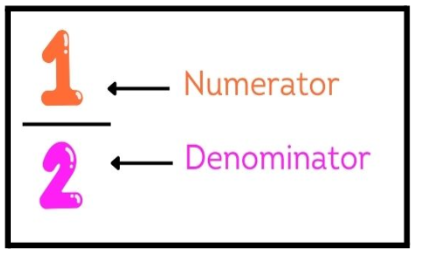 Numerator/Denominator