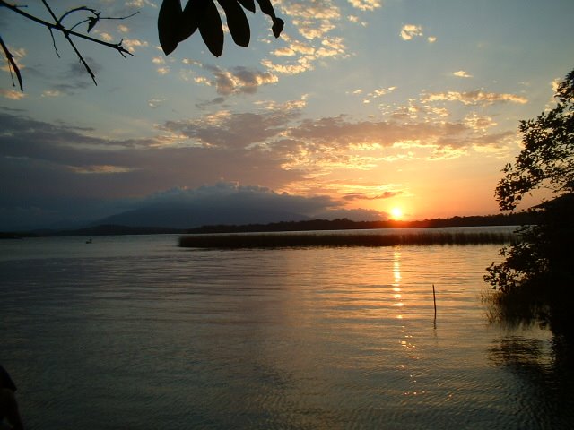 A sunset over Golfo Dulce with water reflecting shades of trees.