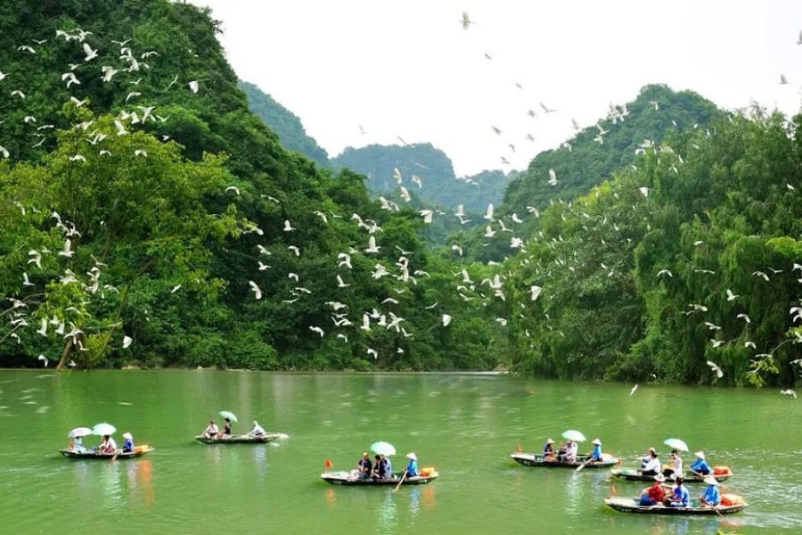 Rowing a boat is one of the ways for you to admire the entire beauty of Thung Nham