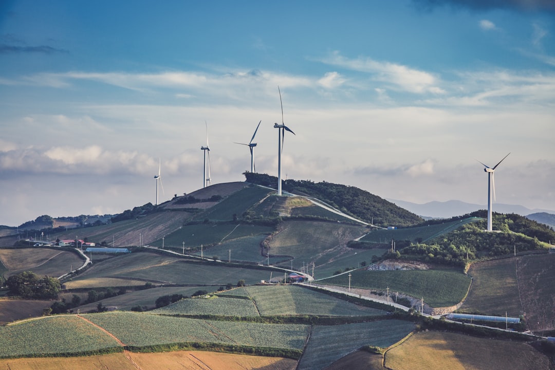 Wind turbines in a field