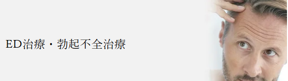 テキスト が含まれている画像  AI によって生成されたコンテンツは間違っている可能性があります。