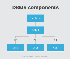 A chart showing a DBMS system and its components. 