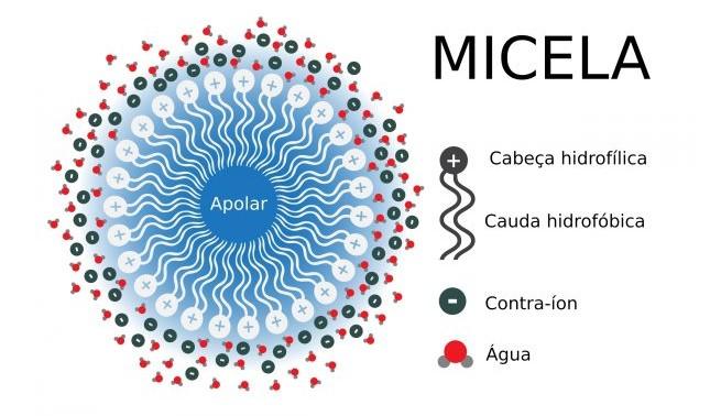 Veja como as micelas atuam no nosso corpo