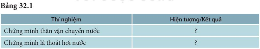 BÀI 32. THỰC HÀNH: THÂN VẬN CHUYỂN NƯỚC VÀ LÁ THOÁT HƠI NƯỚC TRANG 