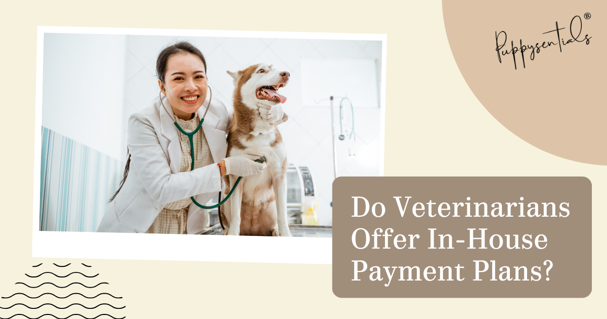 Do Veterinarians Offer In-House Payment Plans?