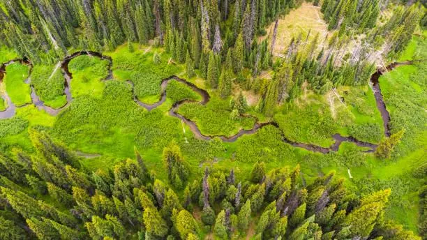 10 Natural Wonders That Don’t Look Real, surreal landscapes, unreal nature, nature, forest, landscape, fantasy earth, mind-blowing scenes