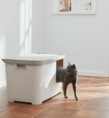 A gray cat exits a Frisco Multi-Function Covered Cat Litter Box, an enclosed design that helps keep dogs out.