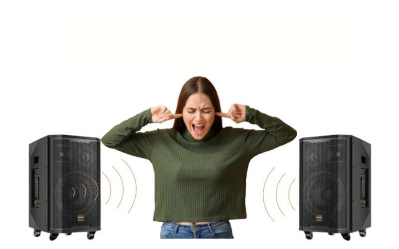 Loa Bluetooth bị rè