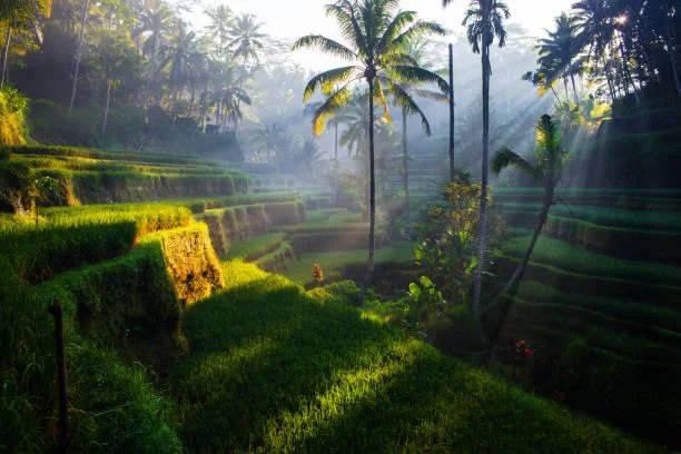 Landscapes That Tell a Story: 18 Amazing Views, storytelling landscapes, amazing views, nature, landscape, scenic narratives, earth tales
